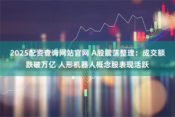 2025配资查询网站官网 A股震荡整理：成交额跌破万亿 人形机器人概念股表现活跃