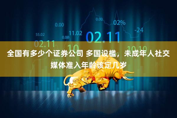 全国有多少个证券公司 多国设槛，未成年人社交媒体准入年龄该定几岁